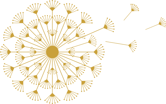 Osteopathie – Vera Netal-Pfeiffer Logo